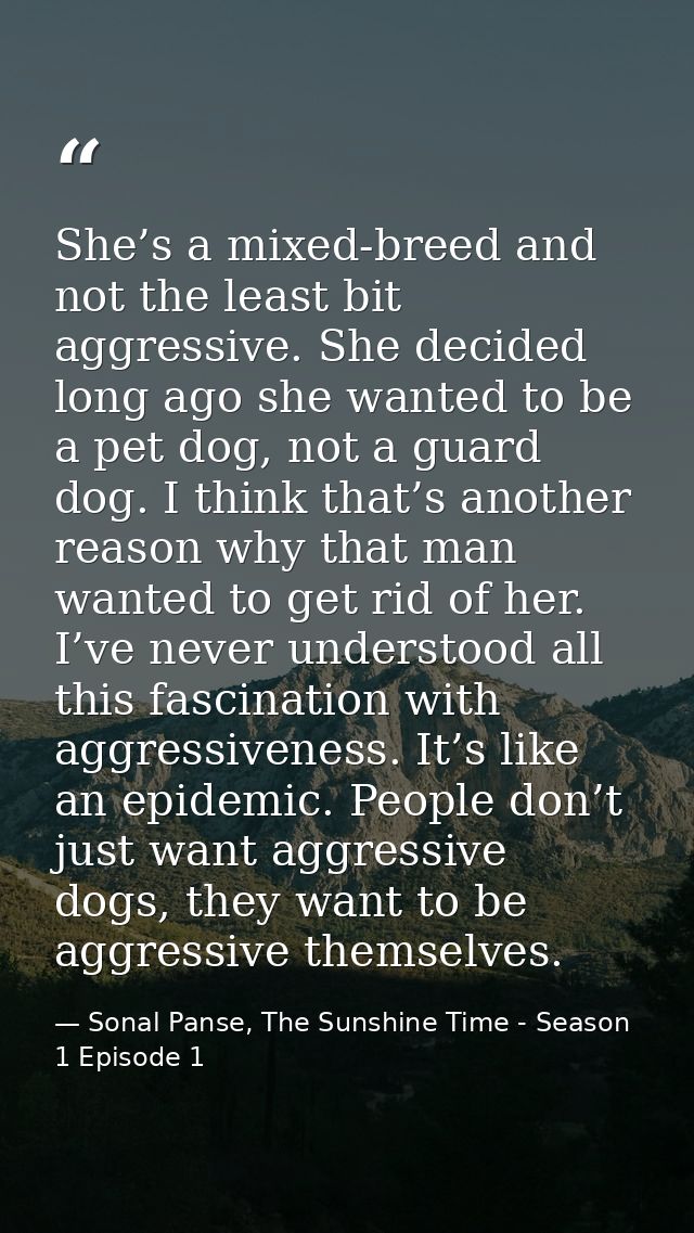 She’s a mixed-breed and not the least bit aggressive. She decided long ago she wanted to be a pet dog, not a guard dog.  — Sonal Panse, The Sunshine Time - Season 1 Episode 1