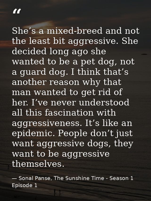 She’s a mixed-breed and not the least bit aggressive. She decided long ago she wanted to be a pet dog, not a guard dog.  — Sonal Panse, The Sunshine Time - Season 1 Episode 1