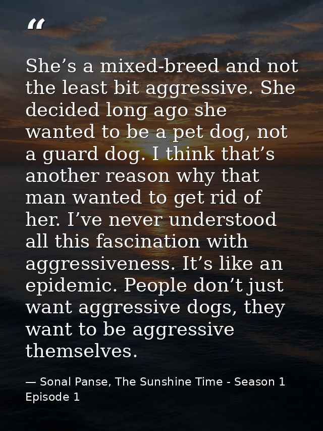 She’s a mixed-breed and not the least bit aggressive. She decided long ago she wanted to be a pet dog, not a guard dog.  — Sonal Panse, The Sunshine Time - Season 1 Episode 1