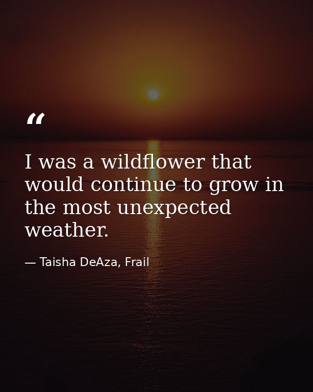 I was a wildflower that would continue to grow in the most unexpected weather. — Taisha DeAza, Frail