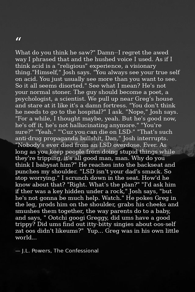 What do you think he saw?" Damn--I regret the awed way I phrased that and the hushed voice I used. As if I think acid is — J.L. Powers, The Confessional