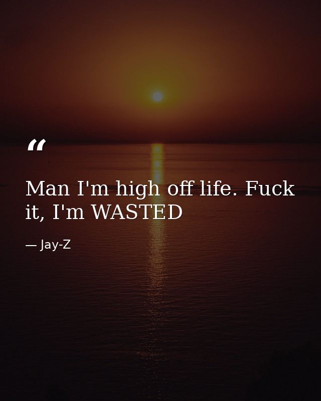Man I'm high off life. Fuck it, I'm WASTED — Jay-Z
