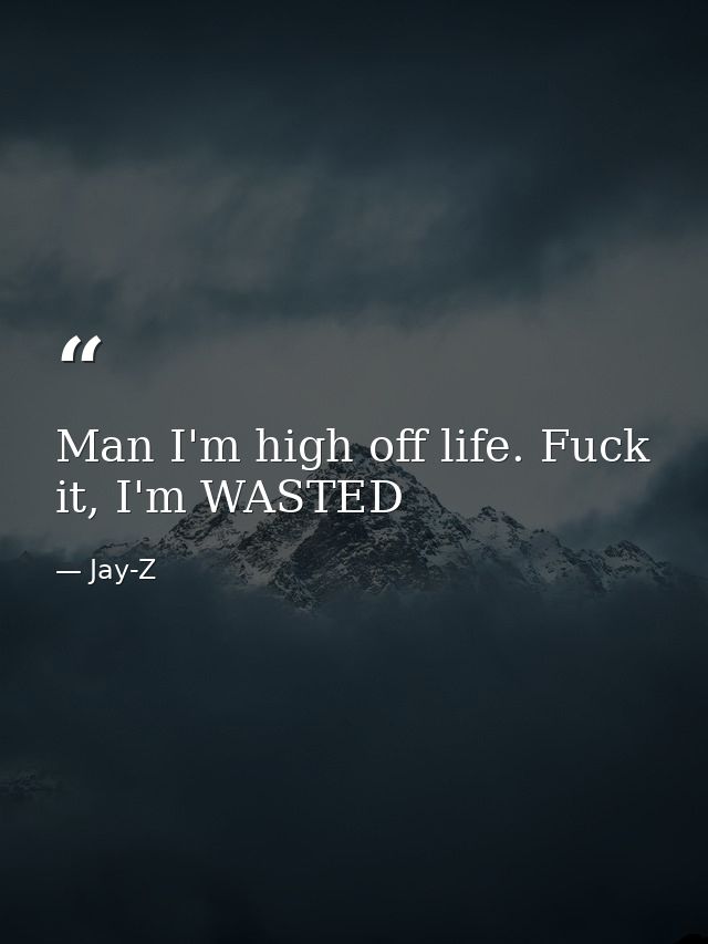Man I'm high off life. Fuck it, I'm WASTED — Jay-Z