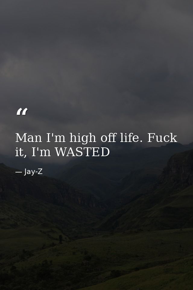 Man I'm high off life. Fuck it, I'm WASTED — Jay-Z