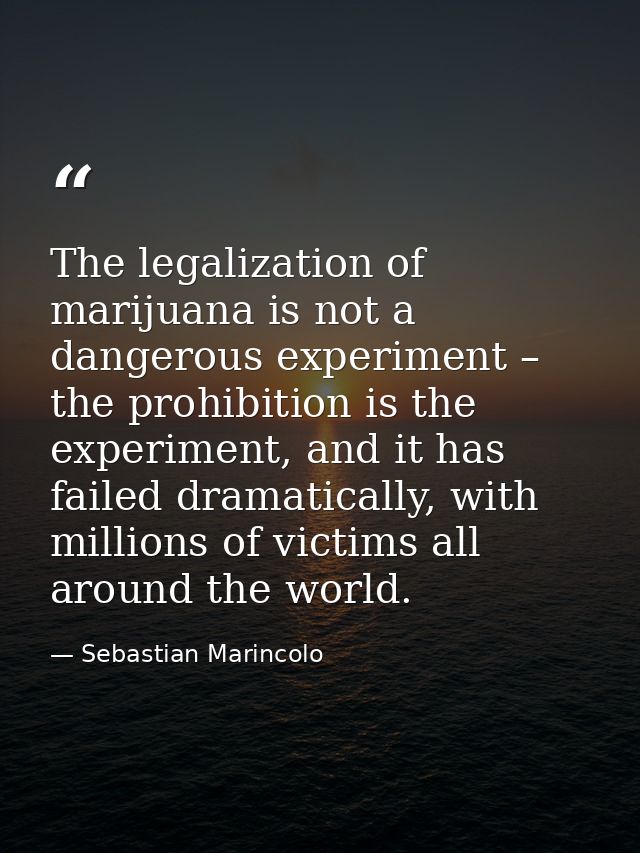 The legalization of marijuana is not a dangerous experiment – the prohibition is the experiment, and it has failed drama — Sebastian Marincolo