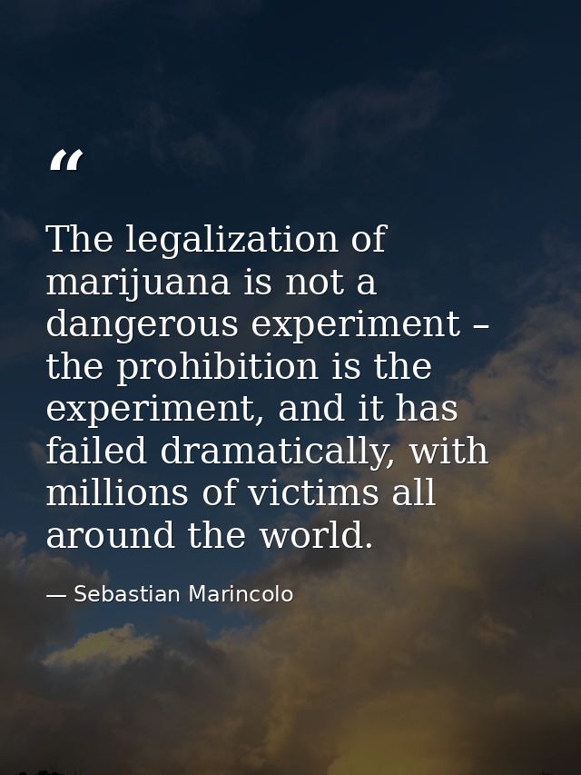The legalization of marijuana is not a dangerous experiment – the prohibition is the experiment, and it has failed drama — Sebastian Marincolo
