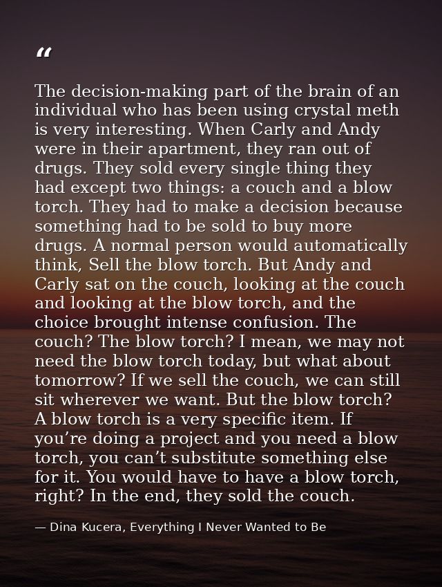 The decision-making part of the brain of an individual who has been using crystal meth is very interesting. When Carly a — Dina Kucera, Everything I Never Wanted to Be