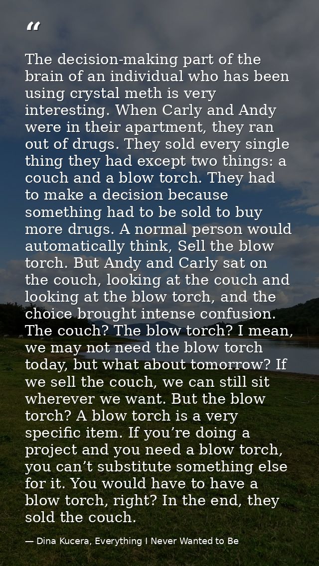 The decision-making part of the brain of an individual who has been using crystal meth is very interesting. When Carly a — Dina Kucera, Everything I Never Wanted to Be