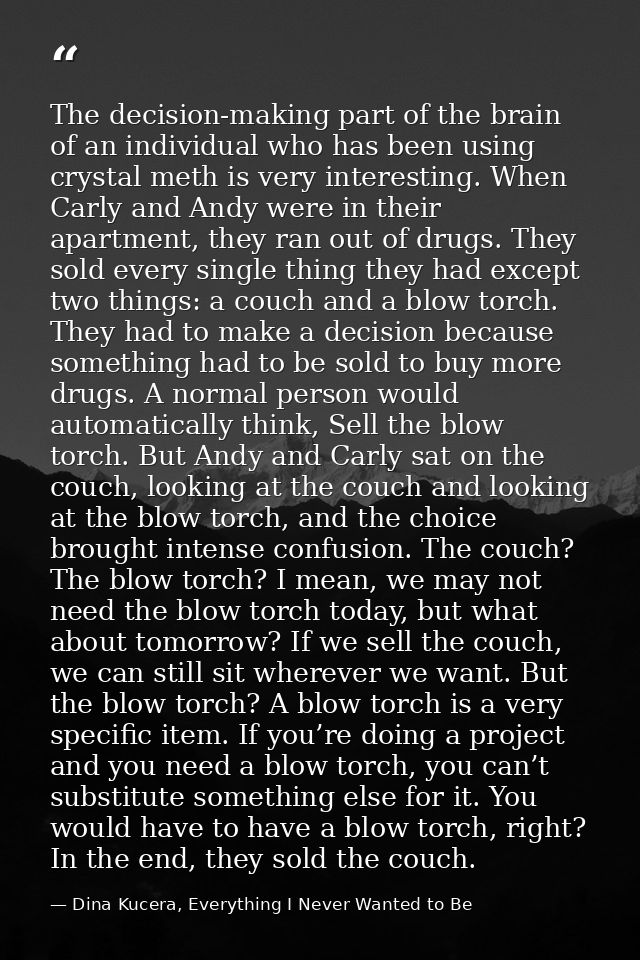 The decision-making part of the brain of an individual who has been using crystal meth is very interesting. When Carly a — Dina Kucera, Everything I Never Wanted to Be