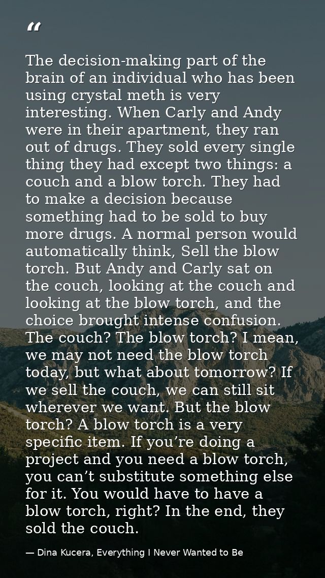 The decision-making part of the brain of an individual who has been using crystal meth is very interesting. When Carly a — Dina Kucera, Everything I Never Wanted to Be