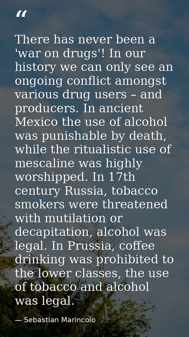There has never been a 'war on drugs'! In our history we can only see an ongoing conflict amongst various drug users – a — Sebastian Marincolo