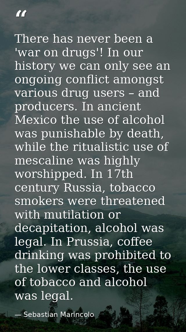 There has never been a 'war on drugs'! In our history we can only see an ongoing conflict amongst various drug users – a — Sebastian Marincolo