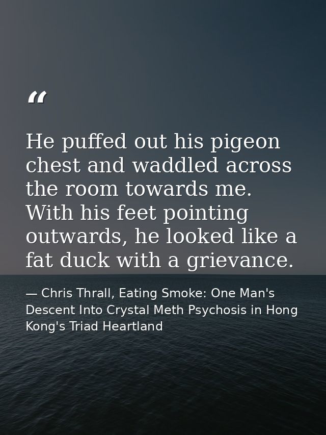 He puffed out his pigeon chest and waddled across the room towards me. With his feet pointing outwards, he looked like a — Chris Thrall, Eating Smoke: One Man's Descent Into Crystal Meth Psychosis in Hong Kong's Triad Heartland
