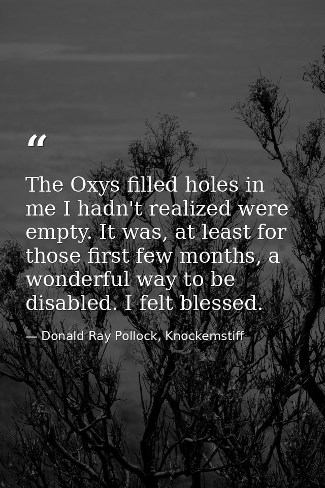 The Oxys filled holes in me I hadn't realized were empty. It was, at least for those first few months, a wonderful way t — Donald Ray Pollock, Knockemstiff