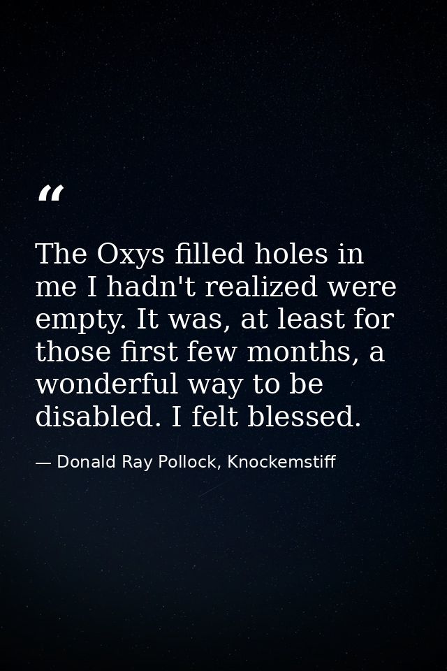 The Oxys filled holes in me I hadn't realized were empty. It was, at least for those first few months, a wonderful way t — Donald Ray Pollock, Knockemstiff