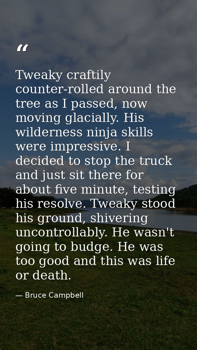 Tweaky craftily counter-rolled around the tree as I passed, now moving glacially. His wilderness ninja skills were impre — Bruce Campbell