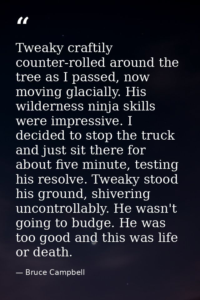 Tweaky craftily counter-rolled around the tree as I passed, now moving glacially. His wilderness ninja skills were impre — Bruce Campbell