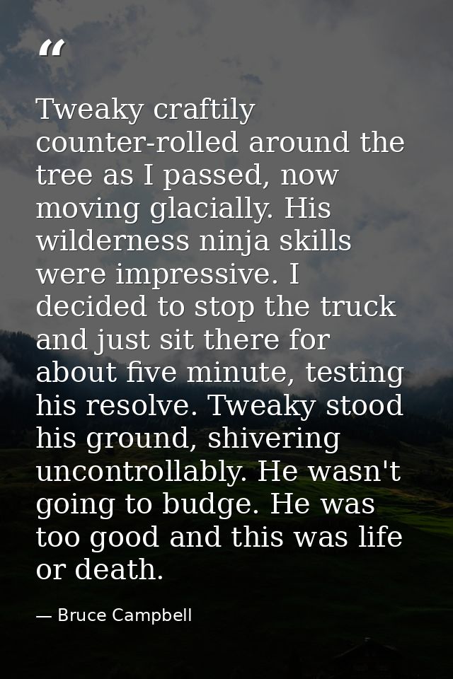 Tweaky craftily counter-rolled around the tree as I passed, now moving glacially. His wilderness ninja skills were impre — Bruce Campbell