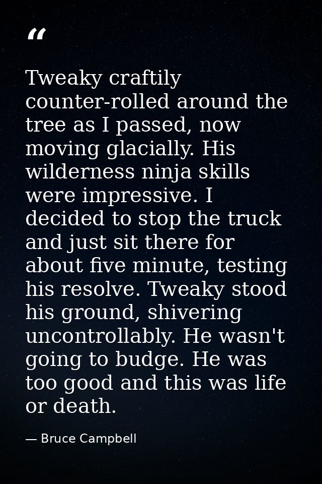 Tweaky craftily counter-rolled around the tree as I passed, now moving glacially. His wilderness ninja skills were impre — Bruce Campbell