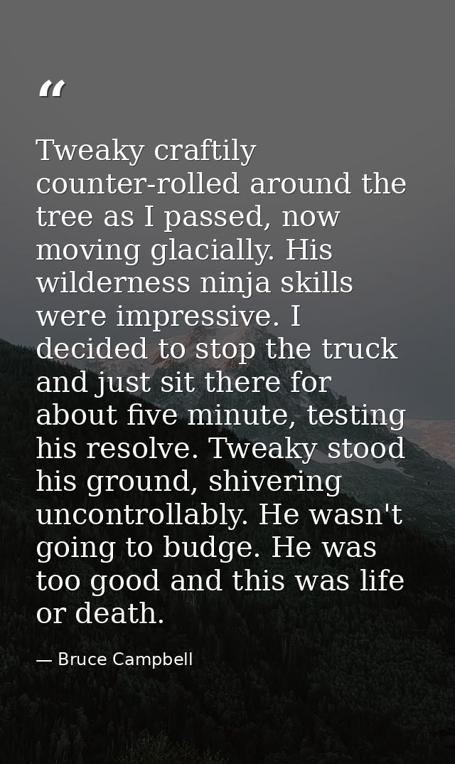 Tweaky craftily counter-rolled around the tree as I passed, now moving glacially. His wilderness ninja skills were impre — Bruce Campbell