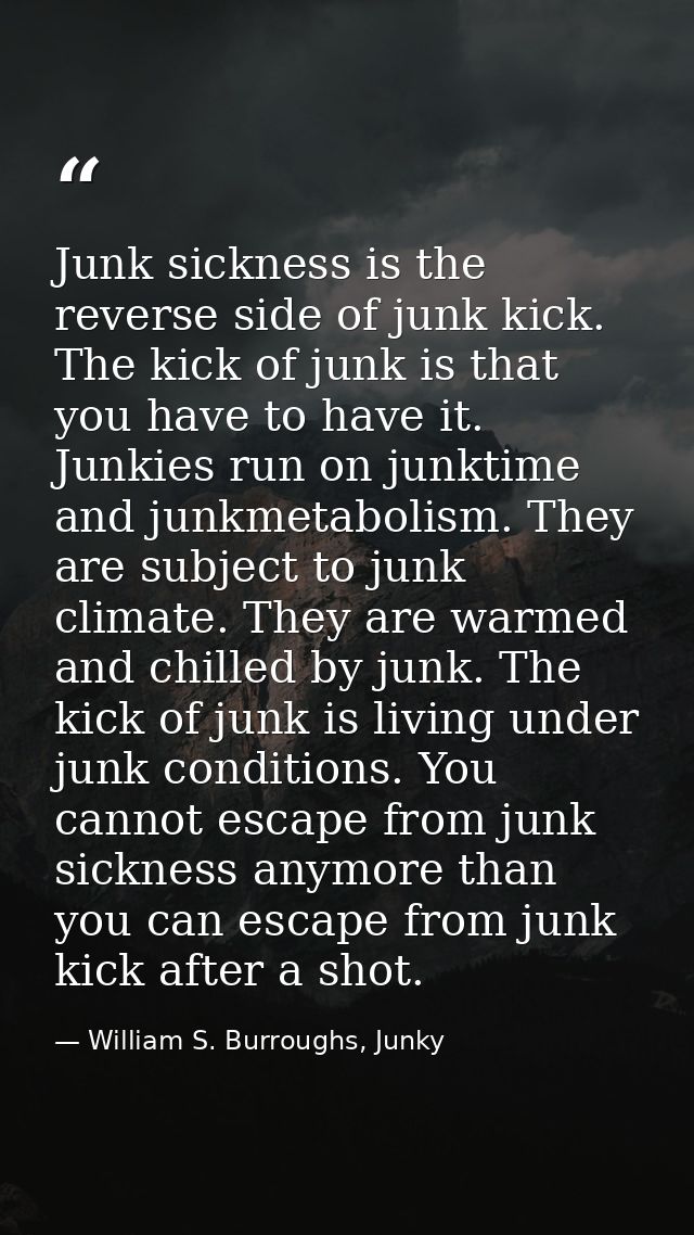 Junk sickness is the reverse side of junk kick. The kick of junk is that you have to have it. Junkies run on junktime an — William S. Burroughs, Junky