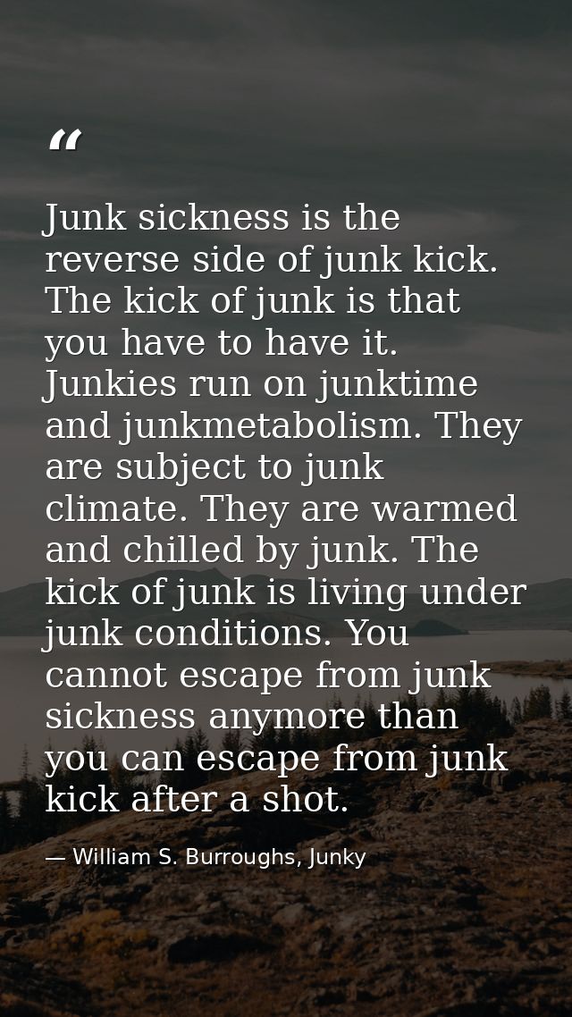 Junk sickness is the reverse side of junk kick. The kick of junk is that you have to have it. Junkies run on junktime an — William S. Burroughs, Junky