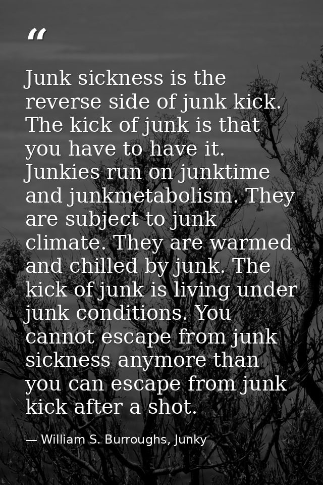Junk sickness is the reverse side of junk kick. The kick of junk is that you have to have it. Junkies run on junktime an — William S. Burroughs, Junky