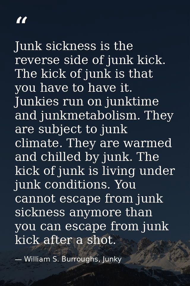 Junk sickness is the reverse side of junk kick. The kick of junk is that you have to have it. Junkies run on junktime an — William S. Burroughs, Junky