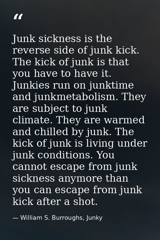 Junk sickness is the reverse side of junk kick. The kick of junk is that you have to have it. Junkies run on junktime an — William S. Burroughs, Junky