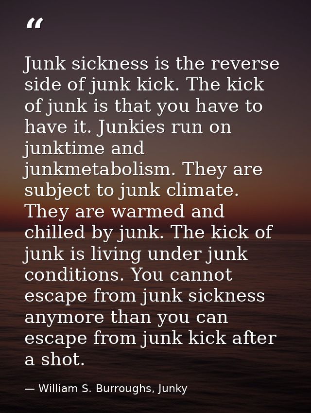 Junk sickness is the reverse side of junk kick. The kick of junk is that you have to have it. Junkies run on junktime an — William S. Burroughs, Junky