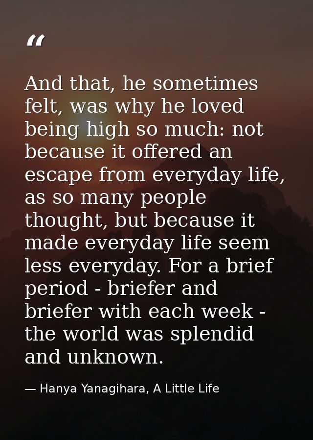 And that, he sometimes felt, was why he loved being high so much: not because it offered an escape from everyday life, a — Hanya Yanagihara, A Little Life