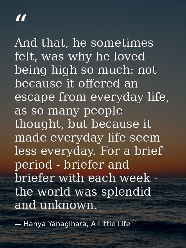 And that, he sometimes felt, was why he loved being high so much: not because it offered an escape from everyday life, a — Hanya Yanagihara, A Little Life