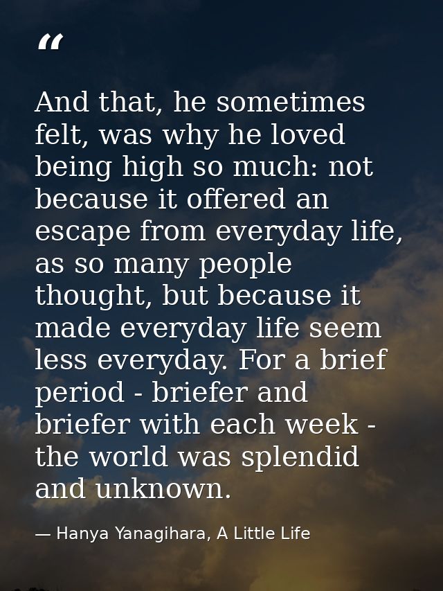 And that, he sometimes felt, was why he loved being high so much: not because it offered an escape from everyday life, a — Hanya Yanagihara, A Little Life