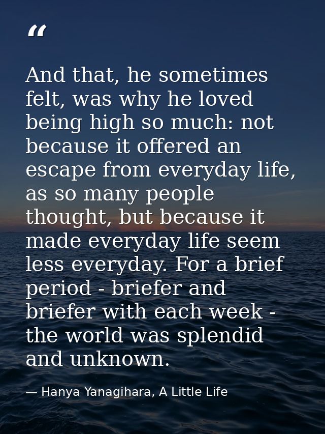 And that, he sometimes felt, was why he loved being high so much: not because it offered an escape from everyday life, a — Hanya Yanagihara, A Little Life