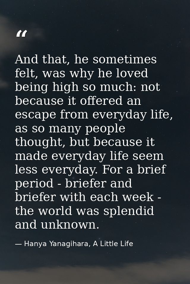 And that, he sometimes felt, was why he loved being high so much: not because it offered an escape from everyday life, a — Hanya Yanagihara, A Little Life