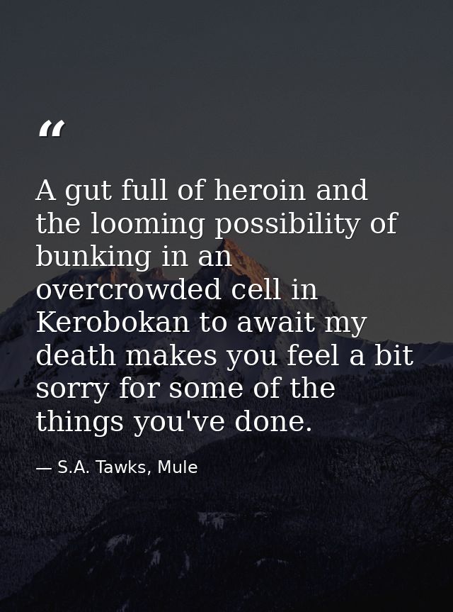 A gut full of heroin and the looming possibility of bunking in an overcrowded cell in Kerobokan to await my death makes  — S.A. Tawks, Mule