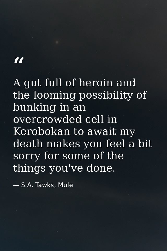 A gut full of heroin and the looming possibility of bunking in an overcrowded cell in Kerobokan to await my death makes  — S.A. Tawks, Mule