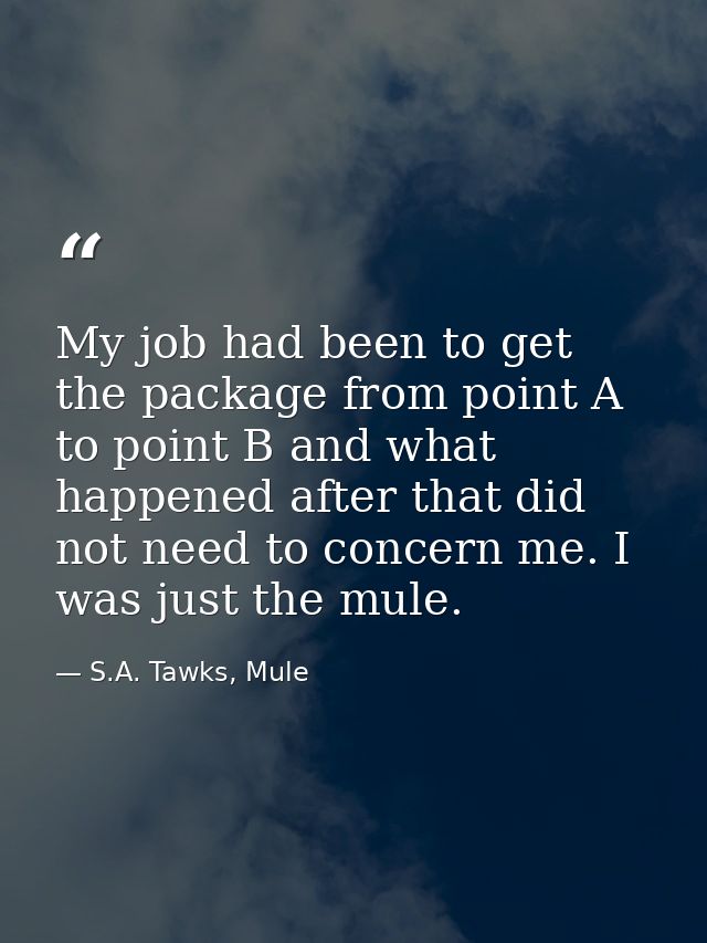 My job had been to get the package from point A to point B and what happened after that did not need to concern me. I wa — S.A. Tawks, Mule