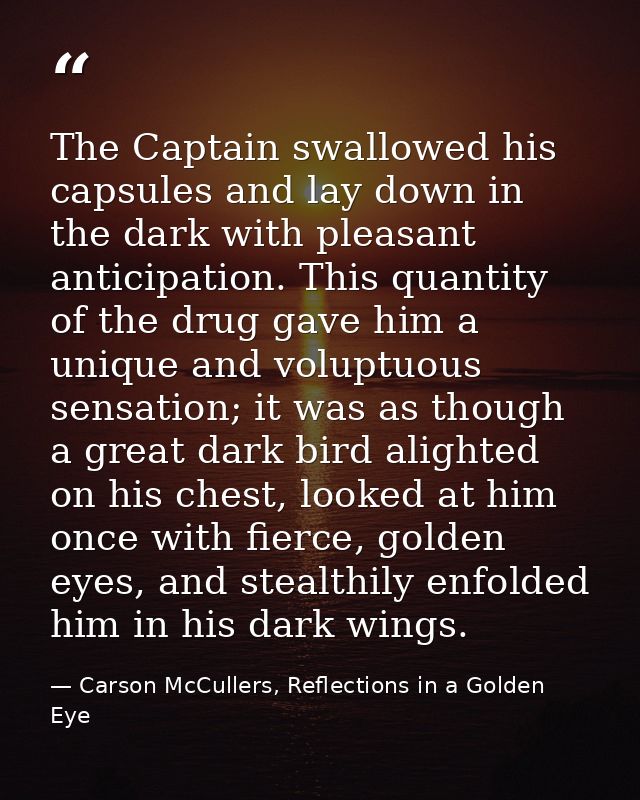 The Captain swallowed his capsules and lay down in the dark with pleasant anticipation. This quantity of the drug gave h — Carson McCullers, Reflections in a Golden Eye