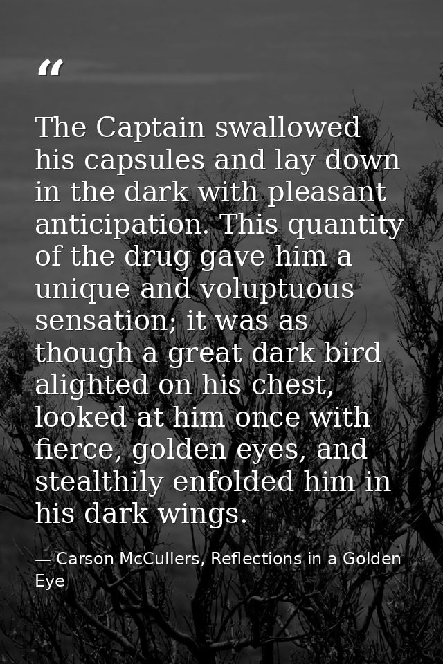 The Captain swallowed his capsules and lay down in the dark with pleasant anticipation. This quantity of the drug gave h — Carson McCullers, Reflections in a Golden Eye