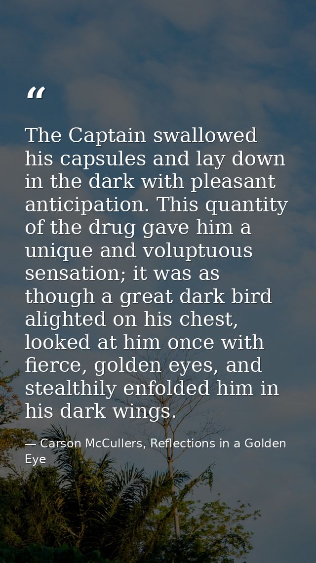 The Captain swallowed his capsules and lay down in the dark with pleasant anticipation. This quantity of the drug gave h — Carson McCullers, Reflections in a Golden Eye