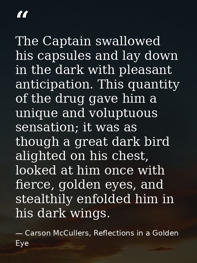 The Captain swallowed his capsules and lay down in the dark with pleasant anticipation. This quantity of the drug gave h — Carson McCullers, Reflections in a Golden Eye