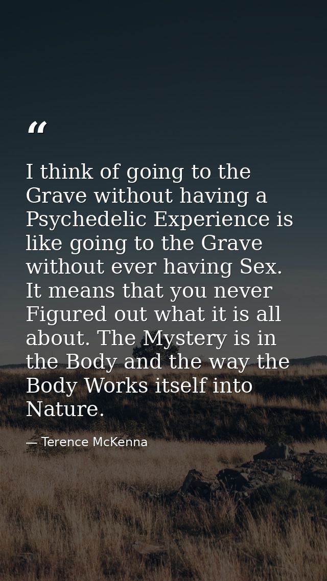 I think of going to the Grave without having a Psychedelic Experience is like going to the Grave without ever having Sex — Terence McKenna