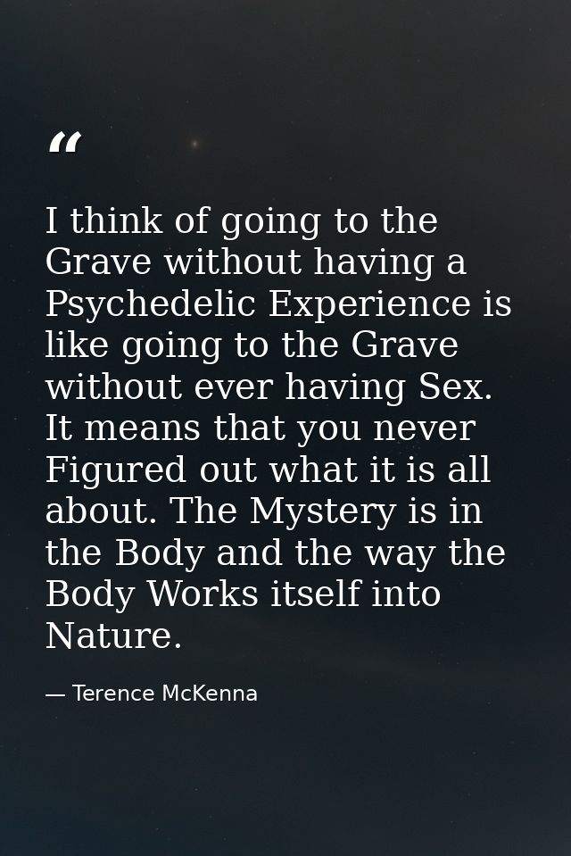 I think of going to the Grave without having a Psychedelic Experience is like going to the Grave without ever having Sex — Terence McKenna