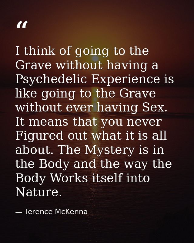 I think of going to the Grave without having a Psychedelic Experience is like going to the Grave without ever having Sex — Terence McKenna