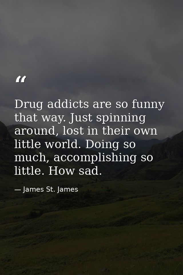 Drug addicts are so funny that way. Just spinning around, lost in their own little world. Doing so much, accomplishing s — James St. James