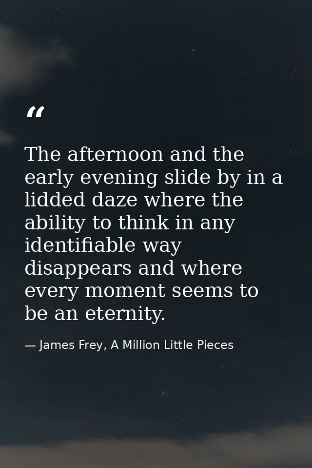 The afternoon and the early evening slide by in a lidded daze where the ability to think in any identifiable way disappe — James Frey, A Million Little Pieces