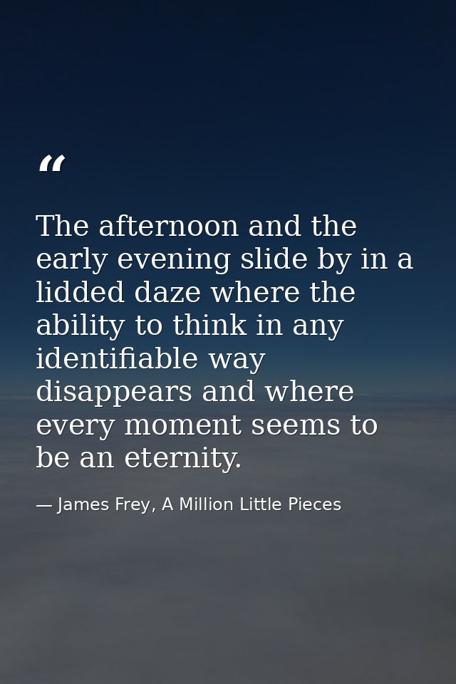 The afternoon and the early evening slide by in a lidded daze where the ability to think in any identifiable way disappe — James Frey, A Million Little Pieces