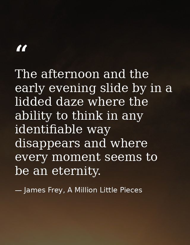 The afternoon and the early evening slide by in a lidded daze where the ability to think in any identifiable way disappe — James Frey, A Million Little Pieces