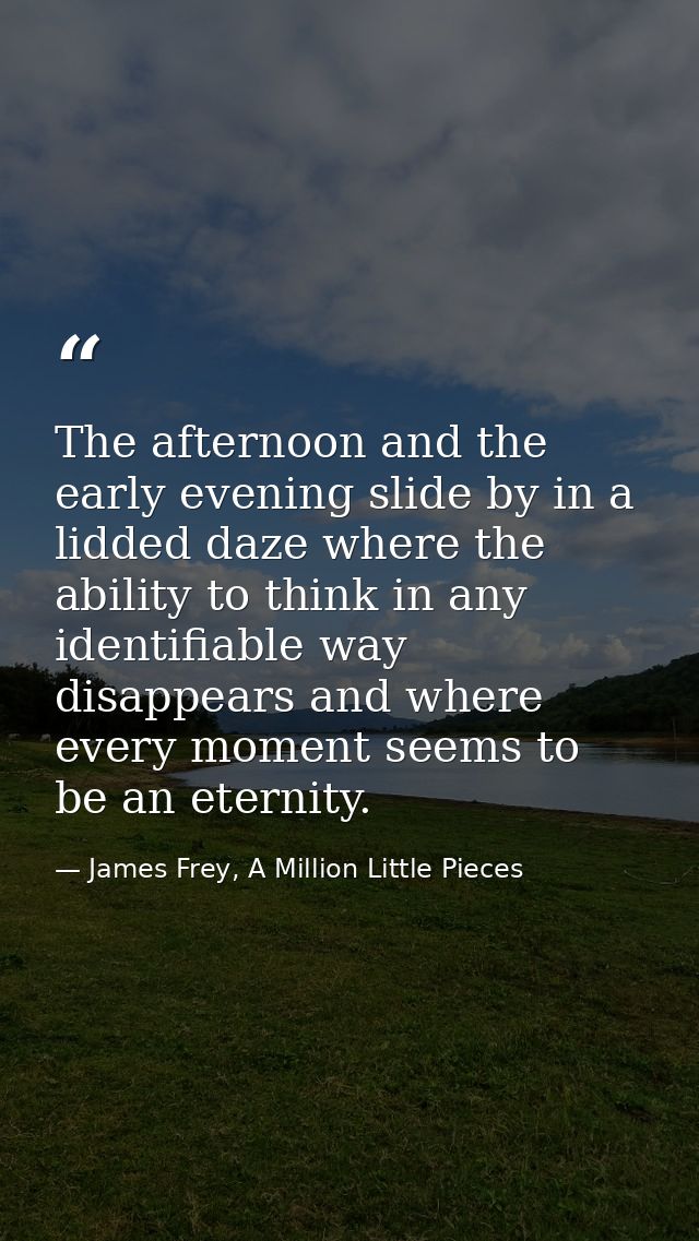 The afternoon and the early evening slide by in a lidded daze where the ability to think in any identifiable way disappe — James Frey, A Million Little Pieces